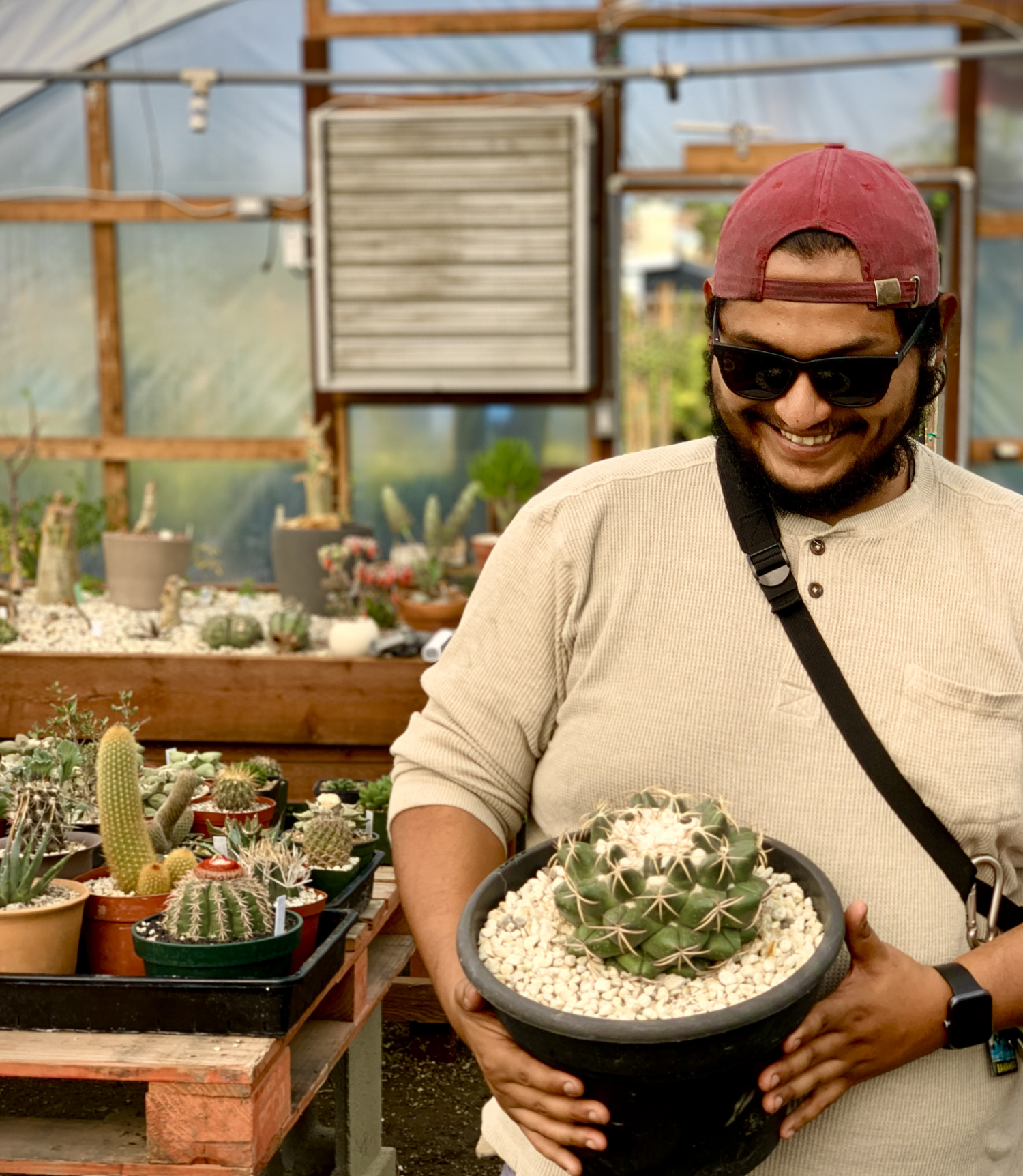 Cacti and succulent grower Edgar Vargas