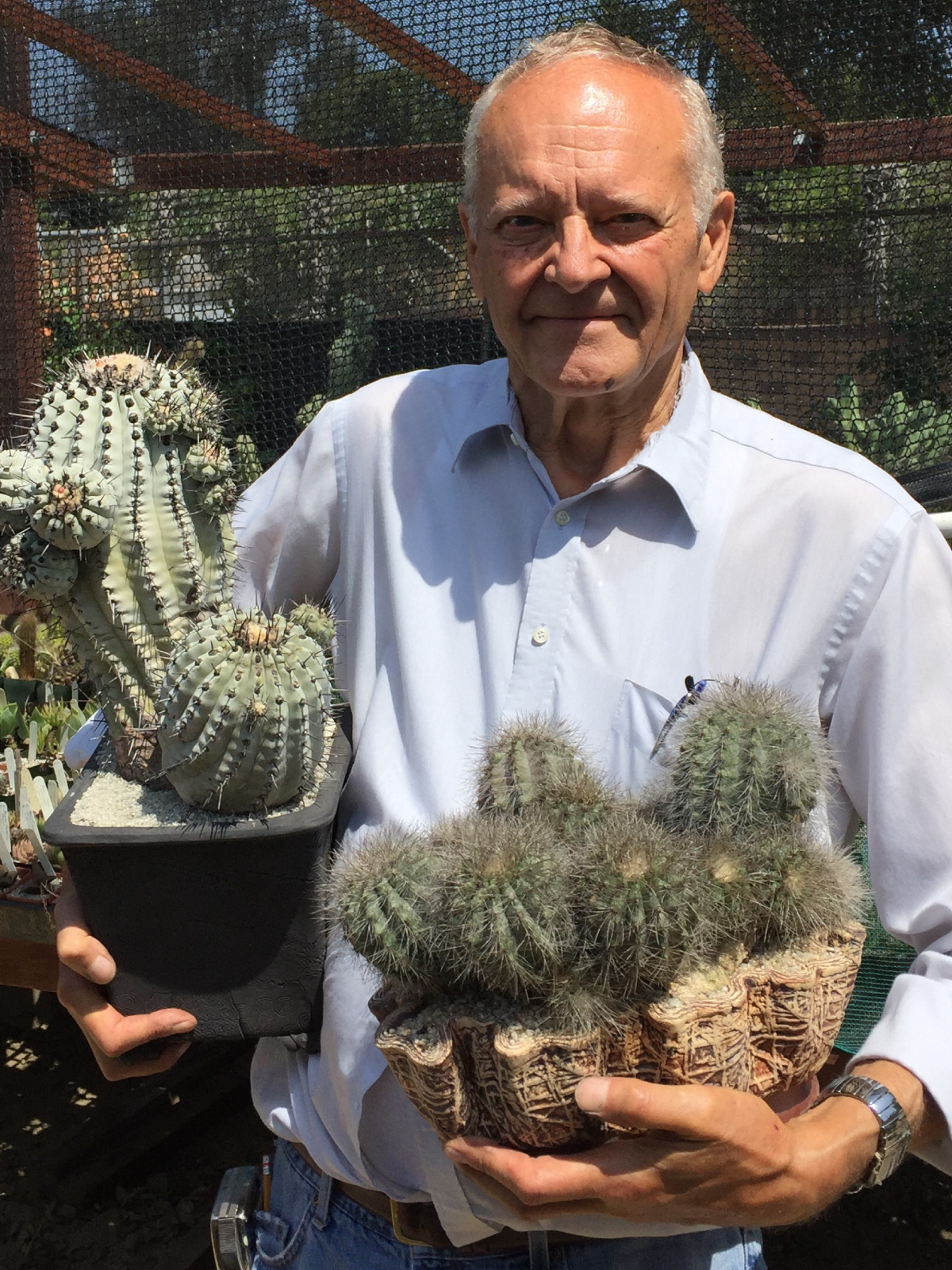 Gary duke holding Copiapoa cinera and krainziana in pots.